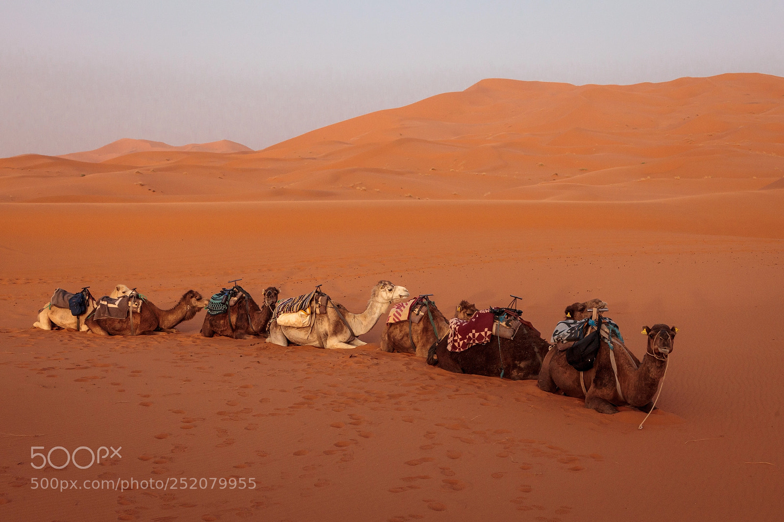 Canon EOS 5D Mark II sample photo. Morocco photography