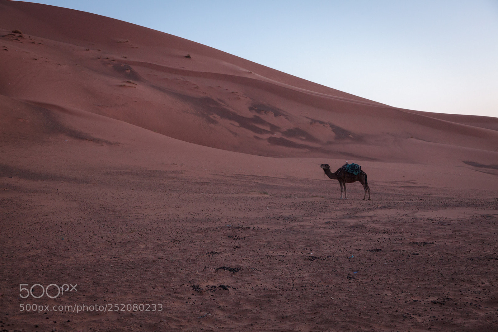 Canon EOS 5D Mark II sample photo. Morocco photography