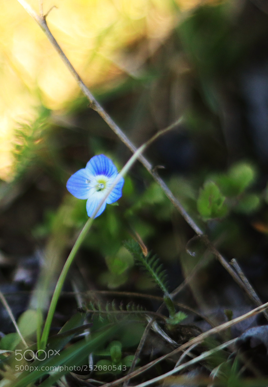 Canon EOS 77D (EOS 9000D / EOS 770D) sample photo. Untitled photography
