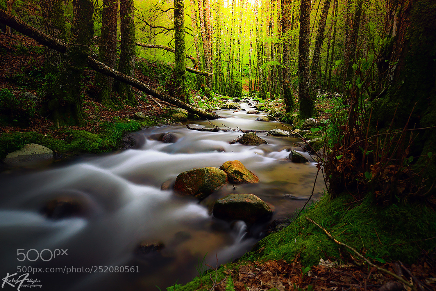 Nikon D610 sample photo. The beauty earth photography