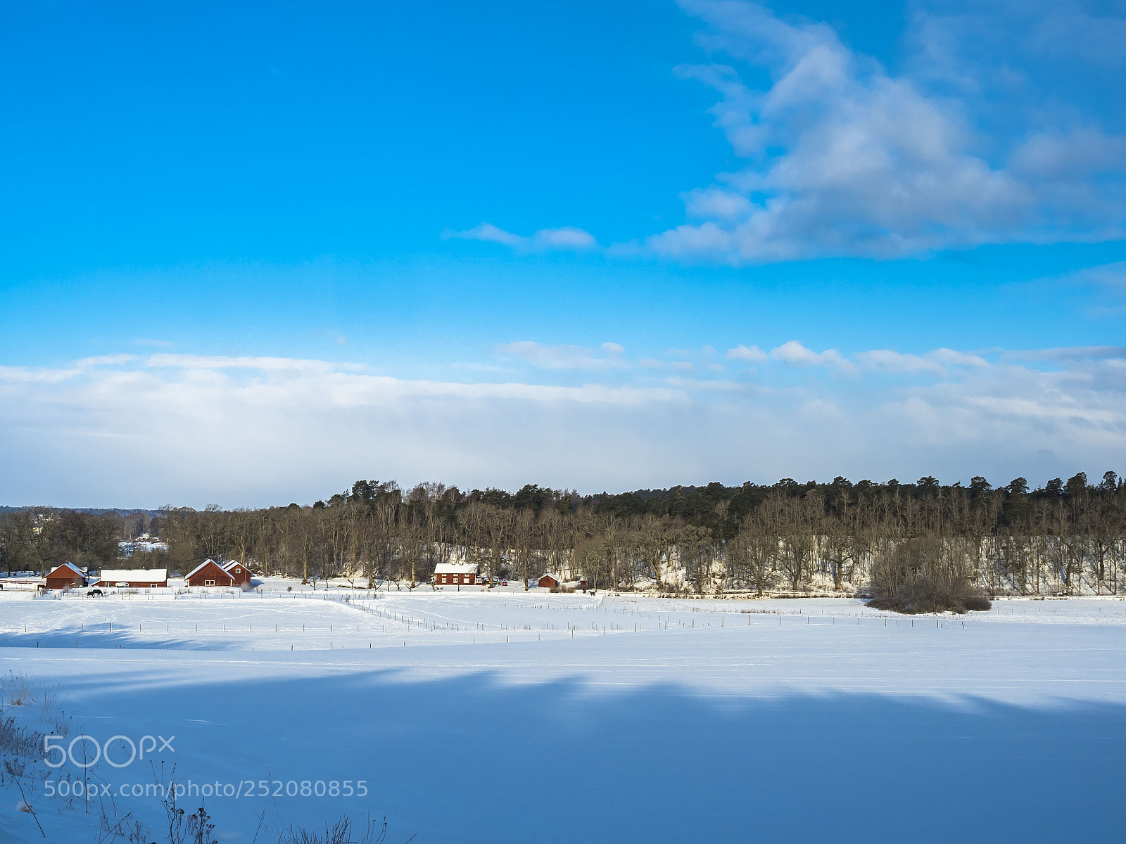 Olympus OM-D E-M5 II sample photo. A nice sunny day photography