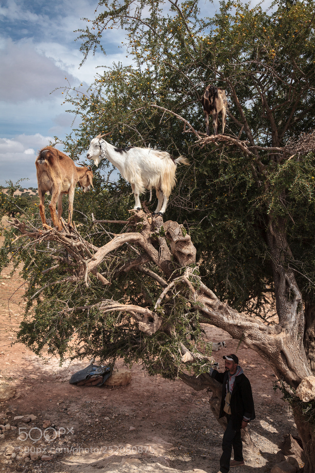 Canon EOS 5D Mark II sample photo. Morocco photography