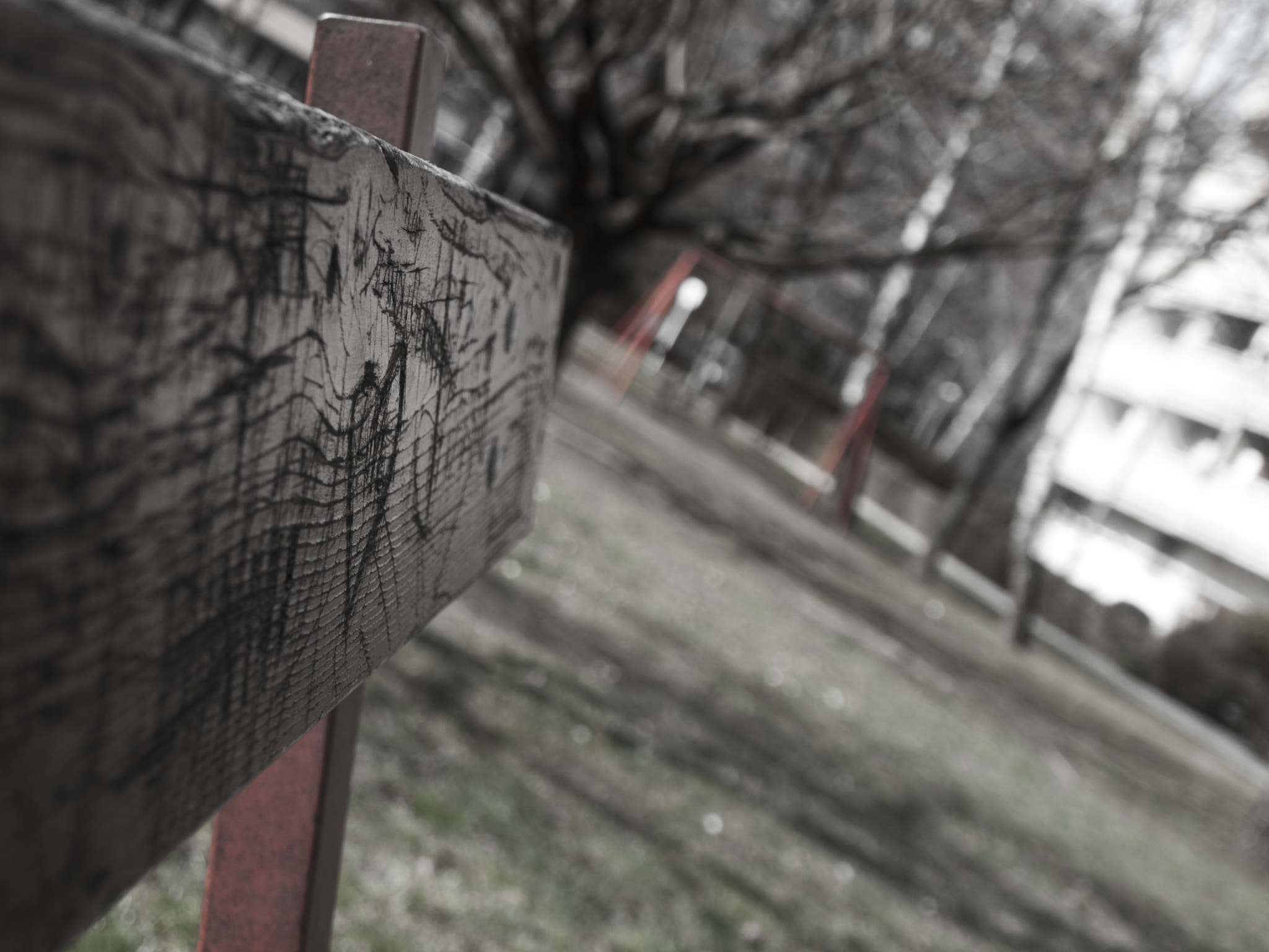 Olympus E-620 (EVOLT E-620) sample photo. 2# photography