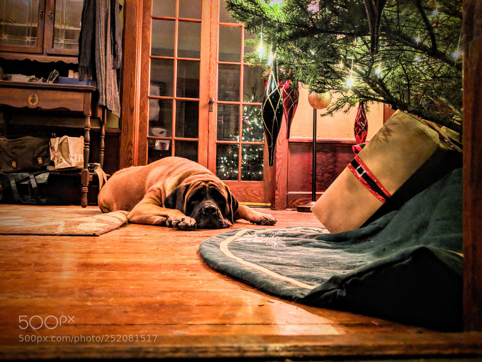 Google Pixel 2 XL sample photo. Can we open presents photography