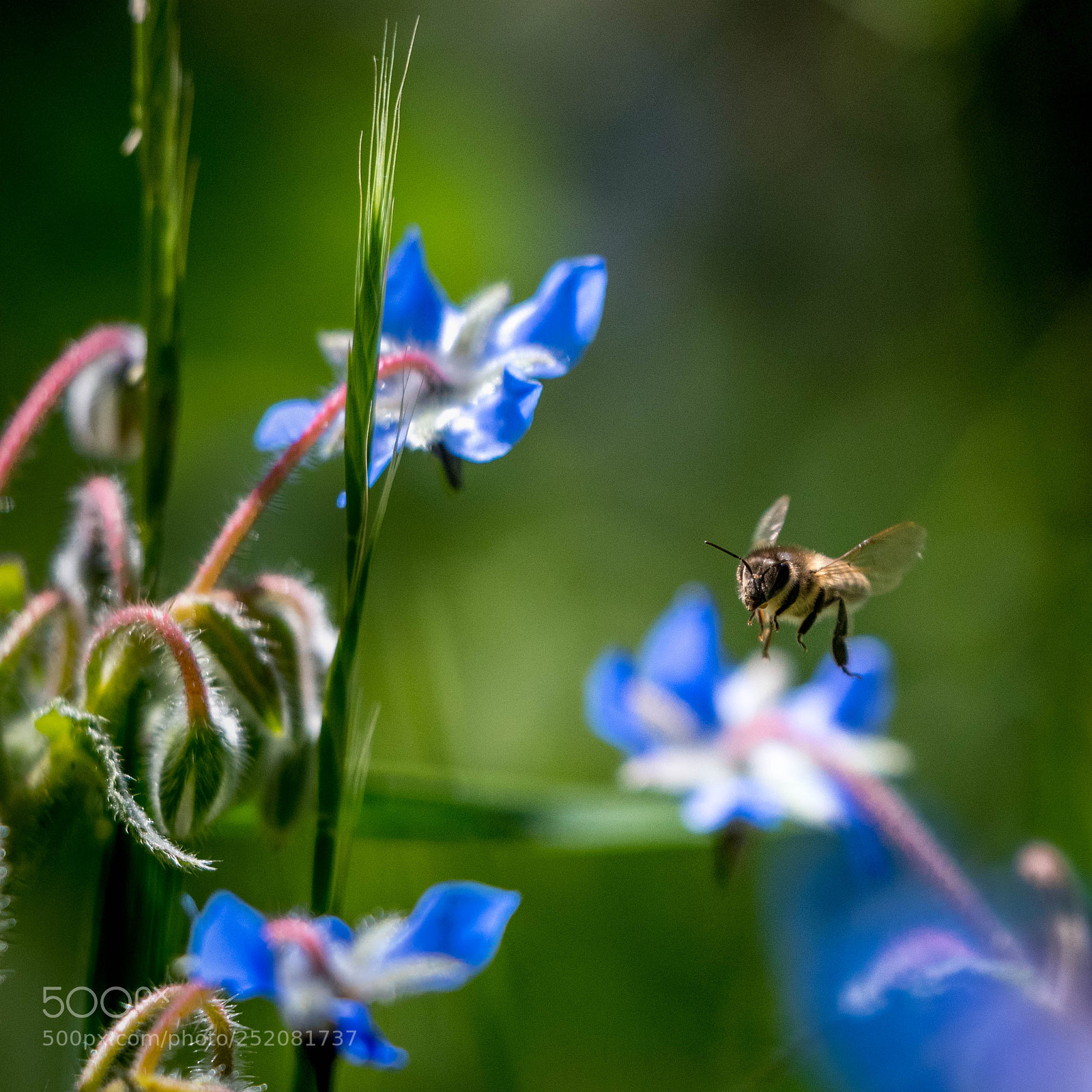 Nikon D500 sample photo. Nice hilights photography