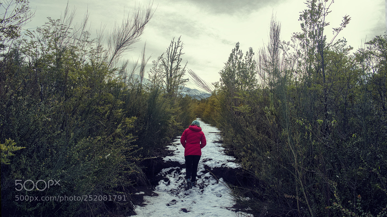 Nikon D5100 sample photo. Little red riding hood photography