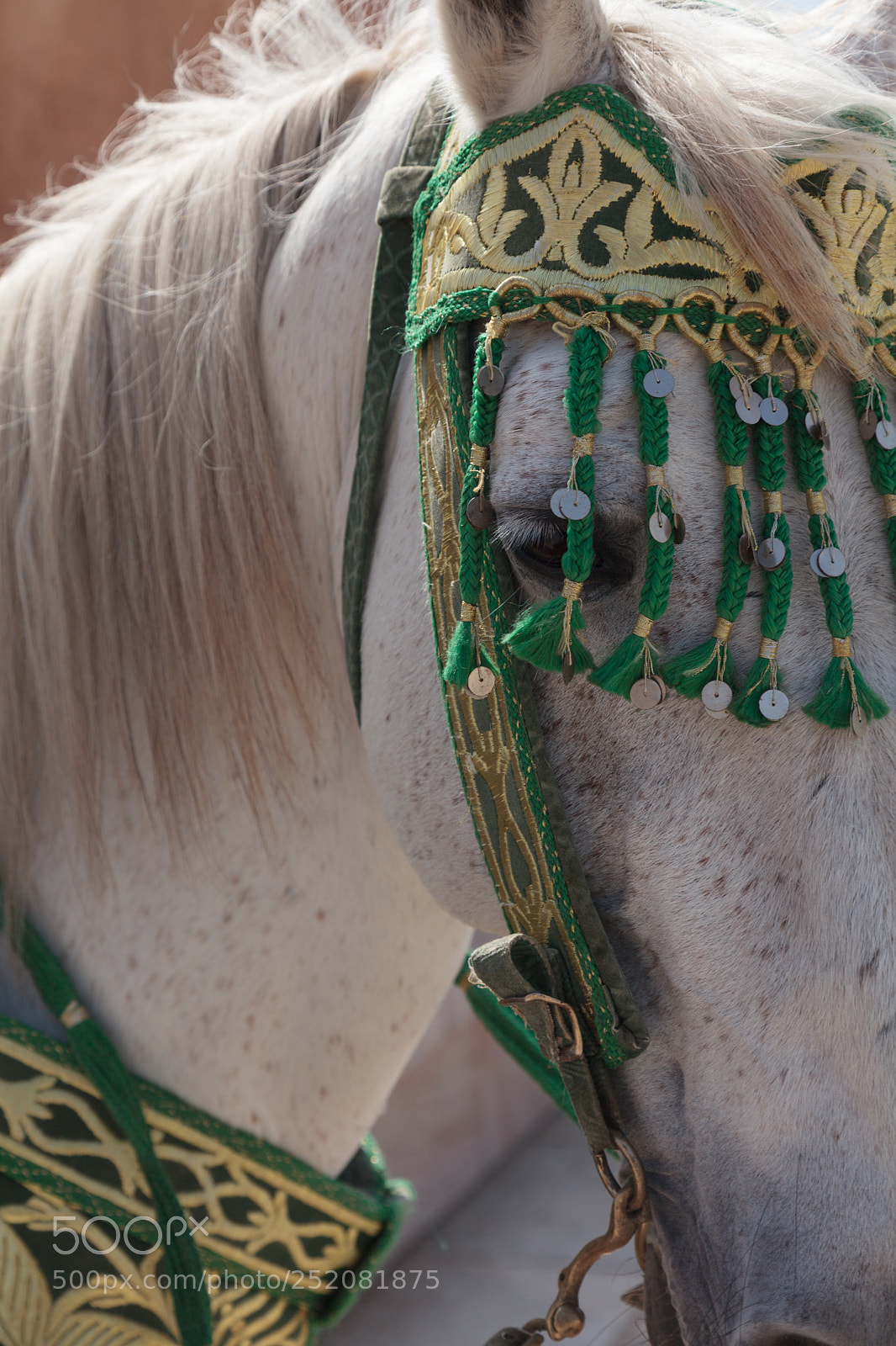 Canon EOS 5D Mark II sample photo. Morocco photography