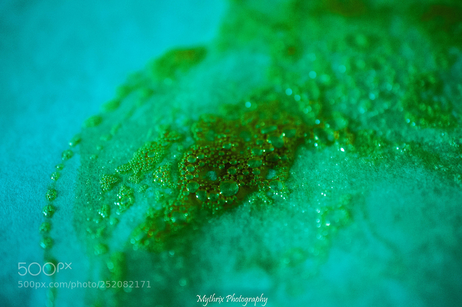 Nikon D5000 sample photo. Oil photography