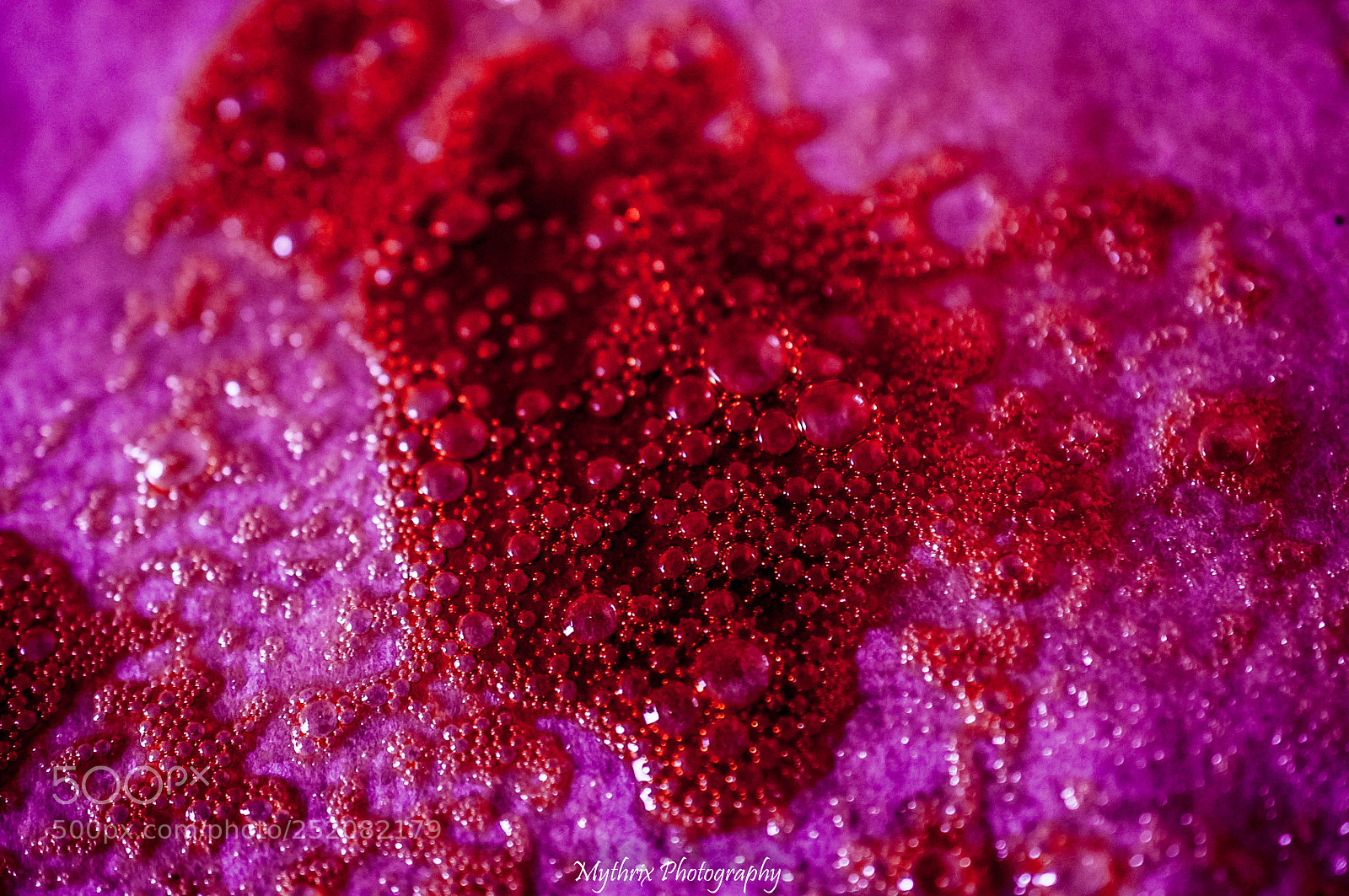 Nikon D5000 sample photo. Oil photography
