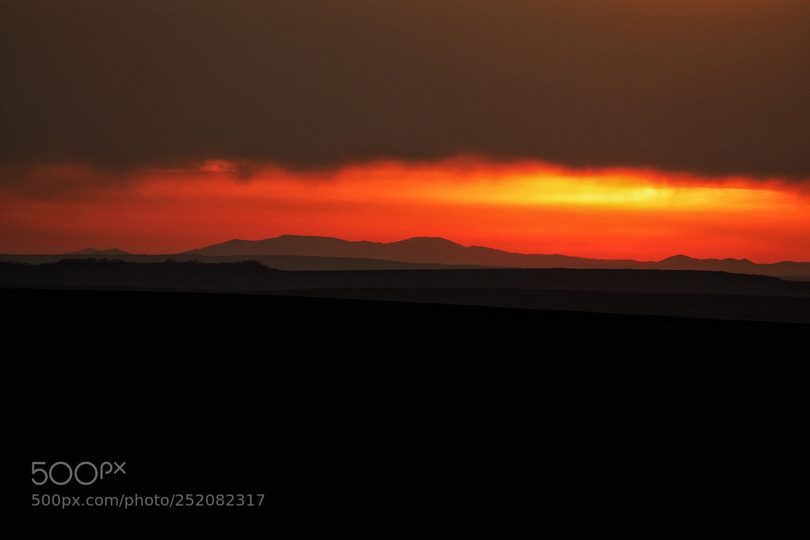 Canon EOS 5D Mark IV sample photo. Untitled photography