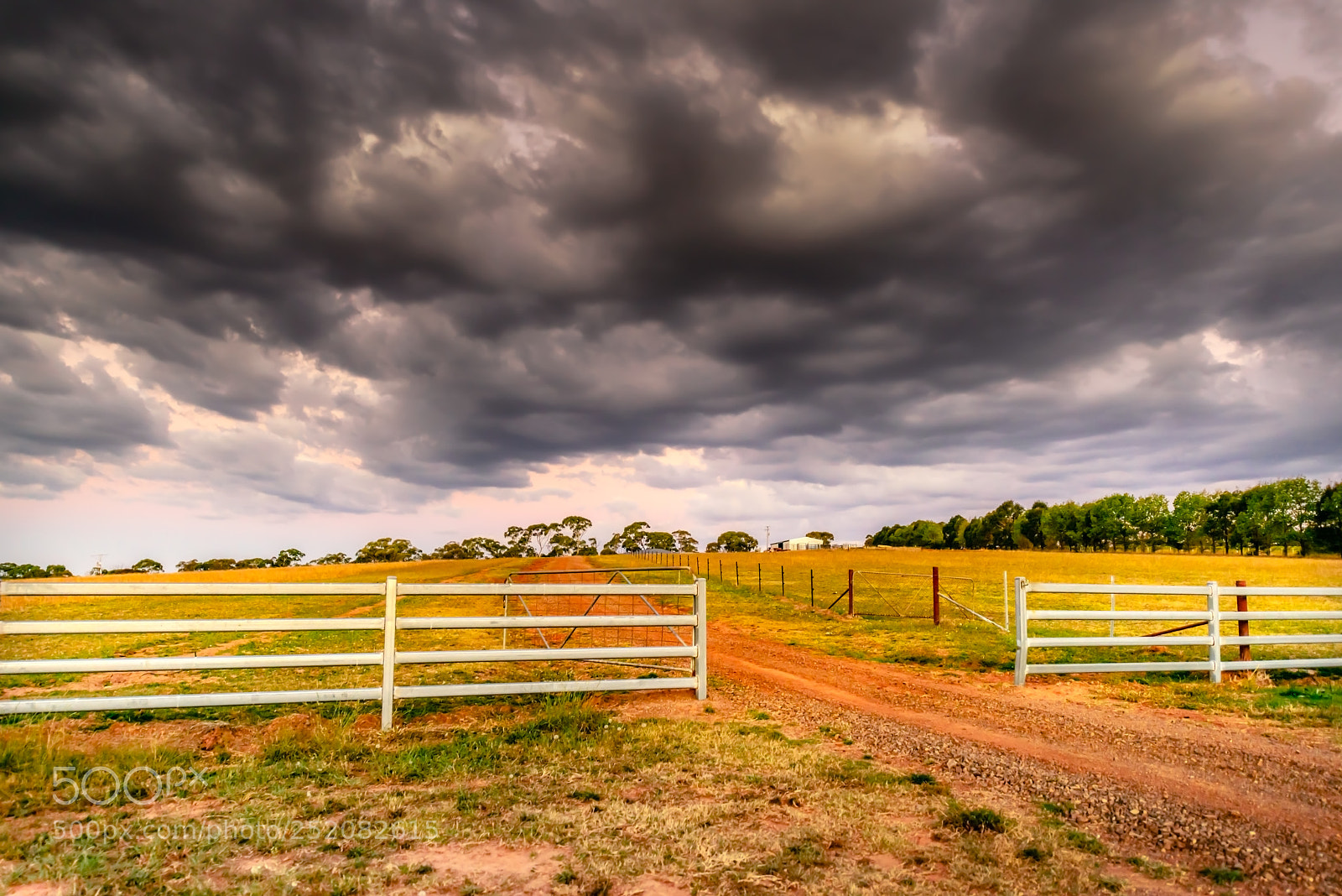 Nikon D800E sample photo. Central tablelands photography