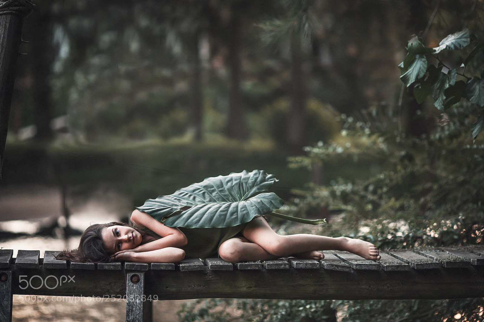 Canon EOS 5D Mark II sample photo. Edit photography