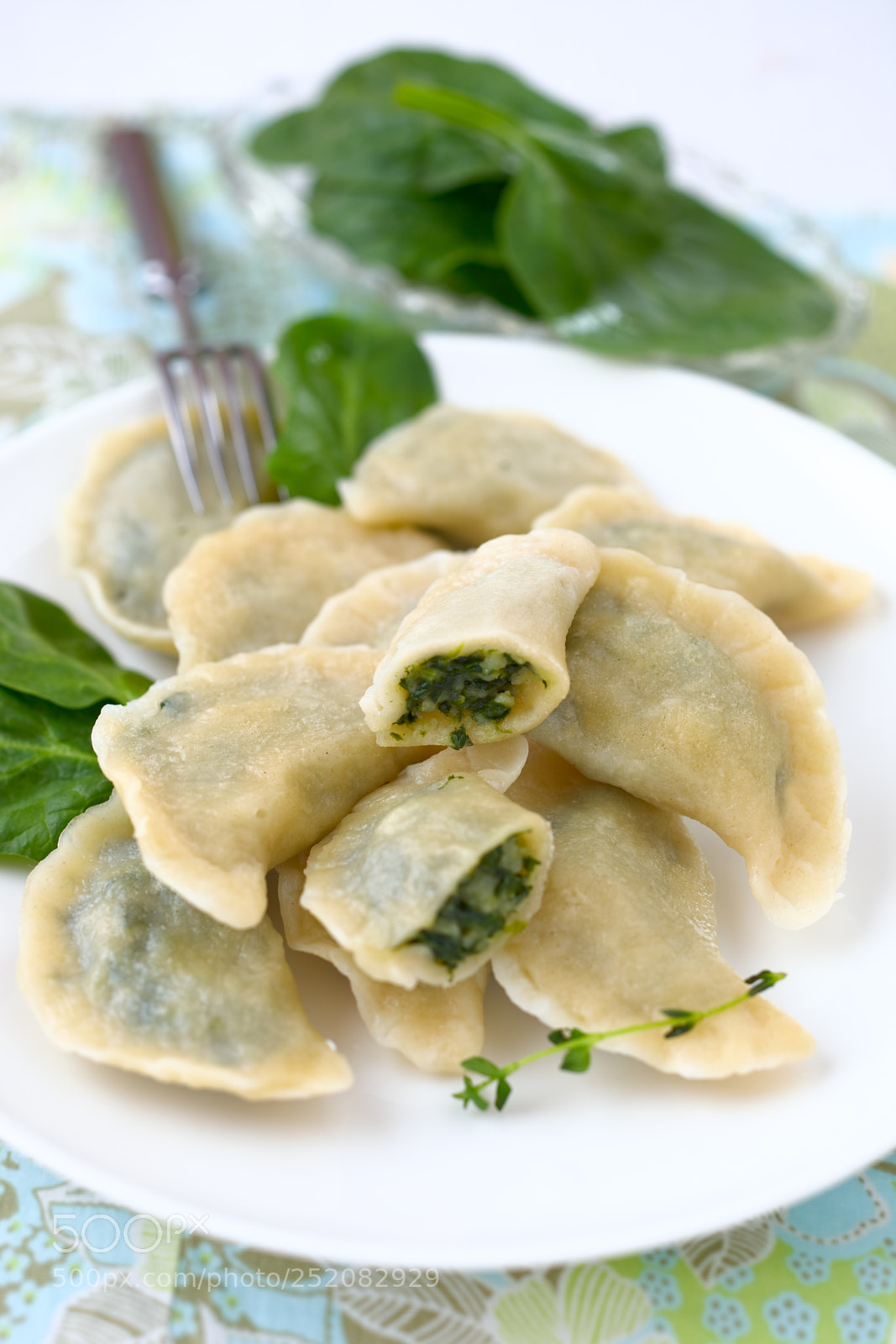 Canon EOS 5D Mark II sample photo. Spinach dumplings photography