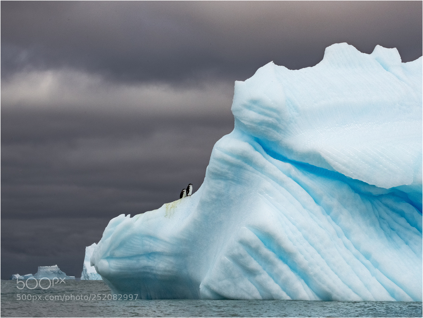 Nikon D850 sample photo. Two chinstrap-penguins photography