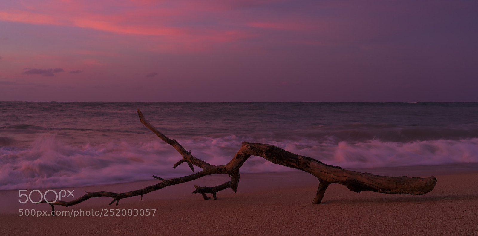 Sony a7R II sample photo. Baldwin sunset photography