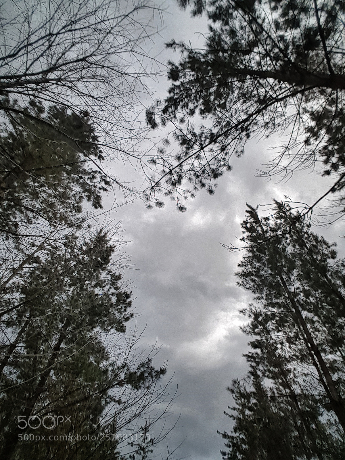 Samsung Galaxy S7 Edge sample photo. Untitled photography