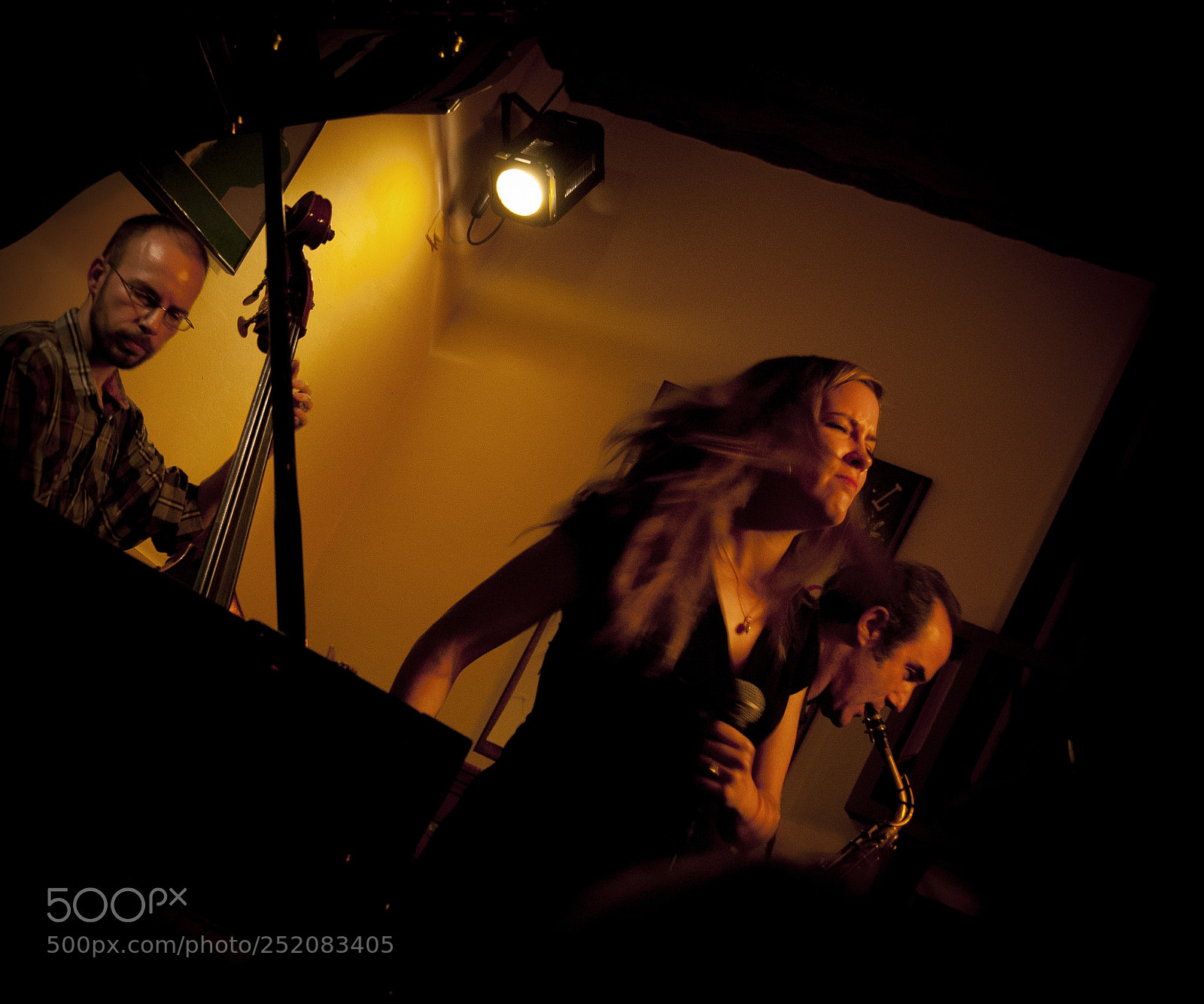 Nikon D80 sample photo. Jazz photography