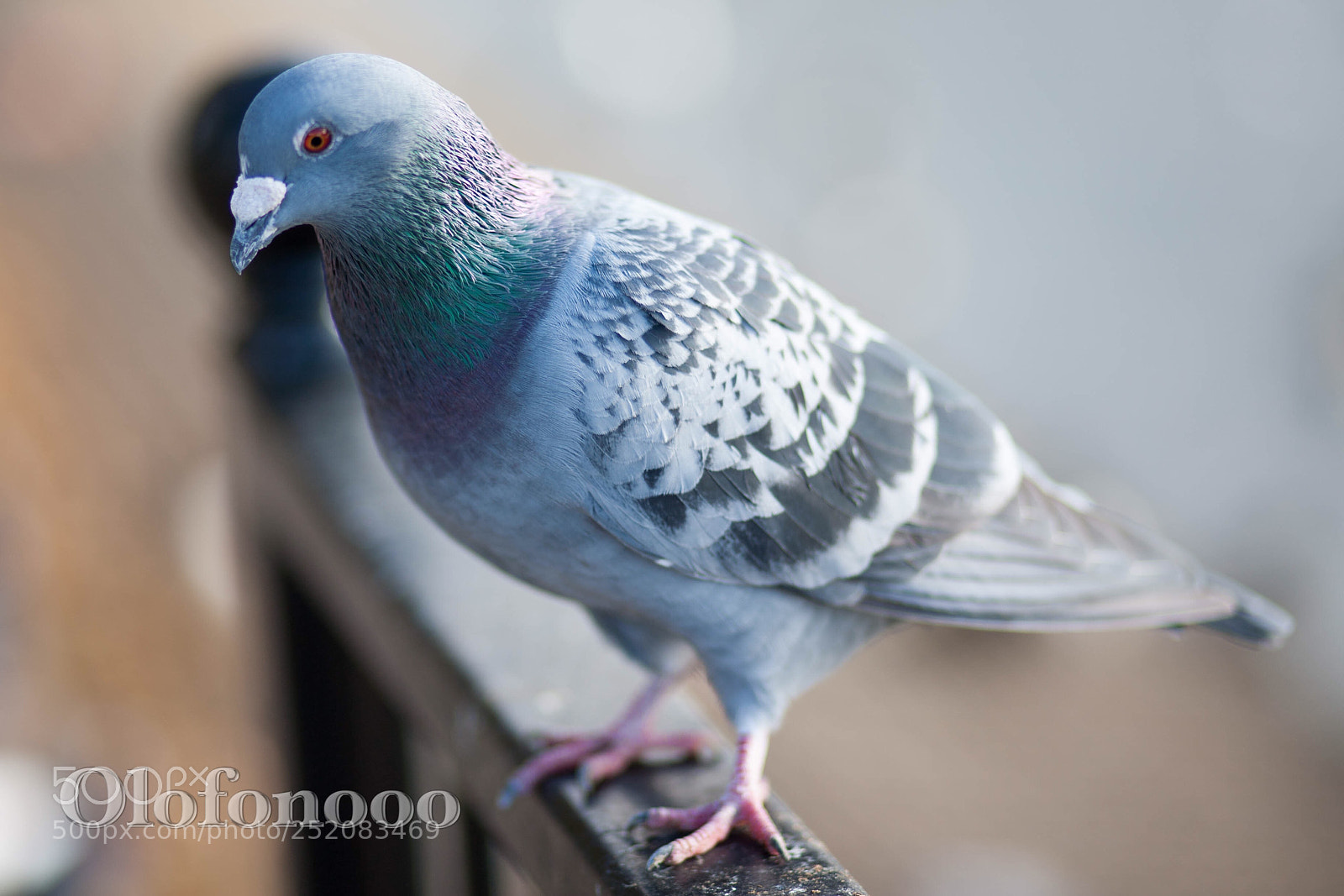 Canon EOS 5D sample photo. Smile please photography