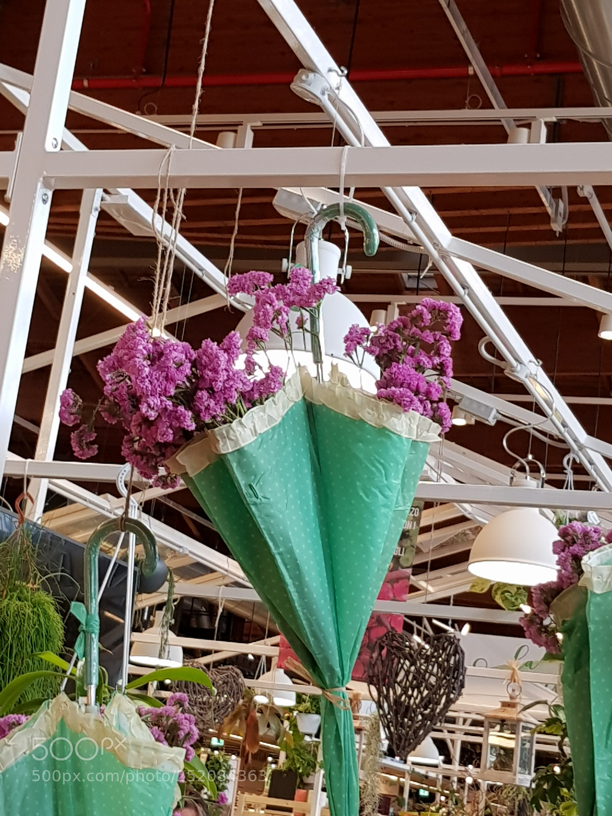 Samsung Galaxy S8 sample photo. Untitled photography