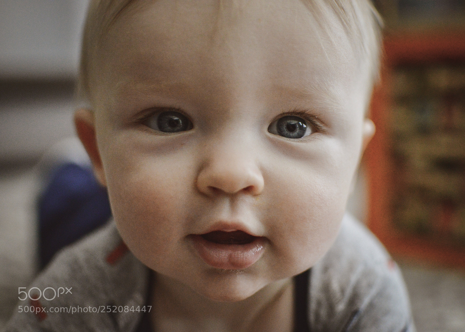 Nikon D3200 sample photo. Bright eyes photography