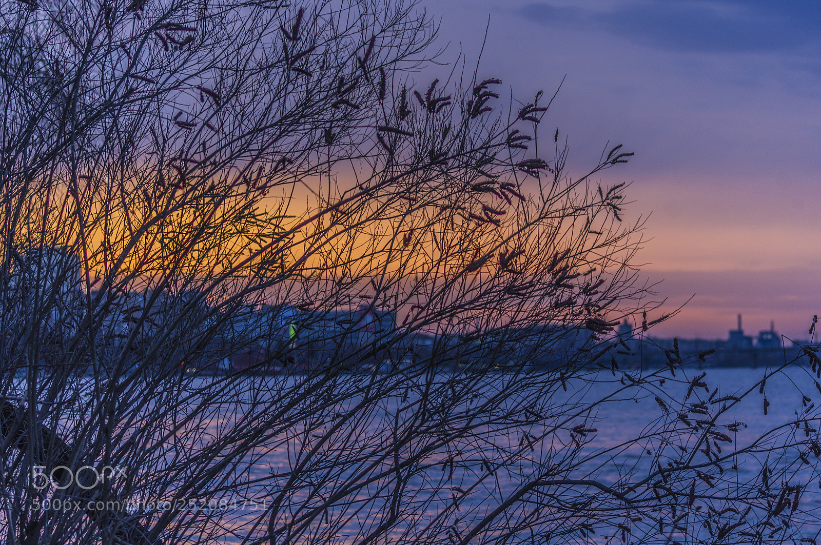 Pentax K-x sample photo. Igp photography