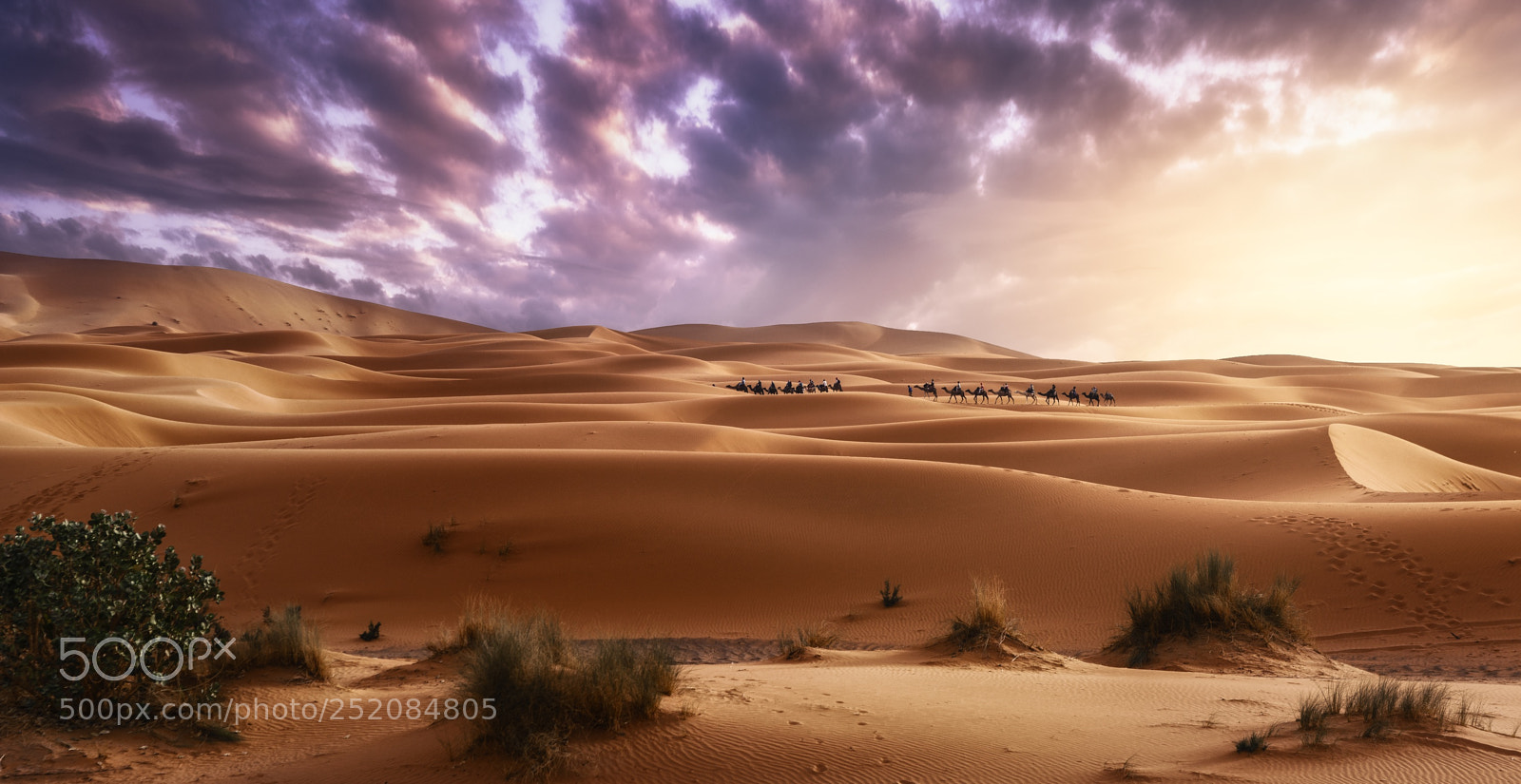 Nikon D810 sample photo. Erg chebbi road photography