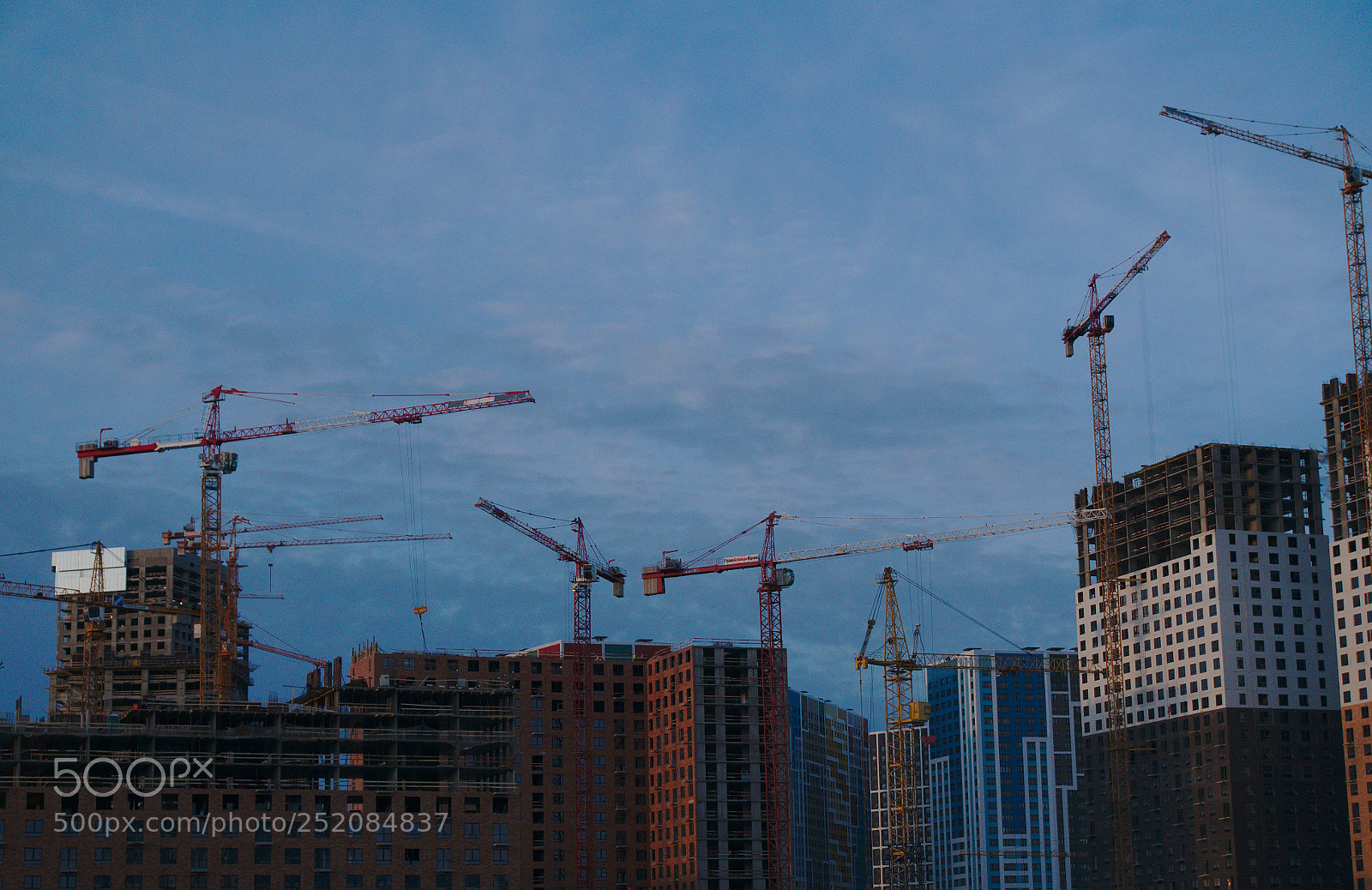 Sony Alpha NEX-3N sample photo. Looking this way and photography