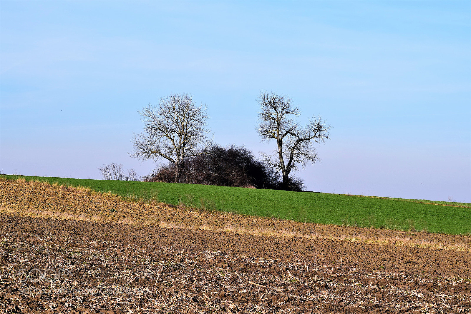 Nikon D3300 sample photo. A b a photography