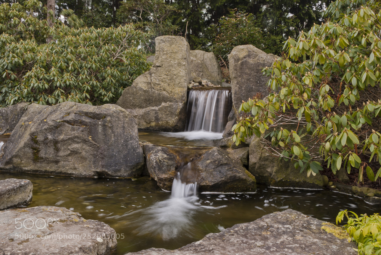 Nikon D60 sample photo. Wasser photography