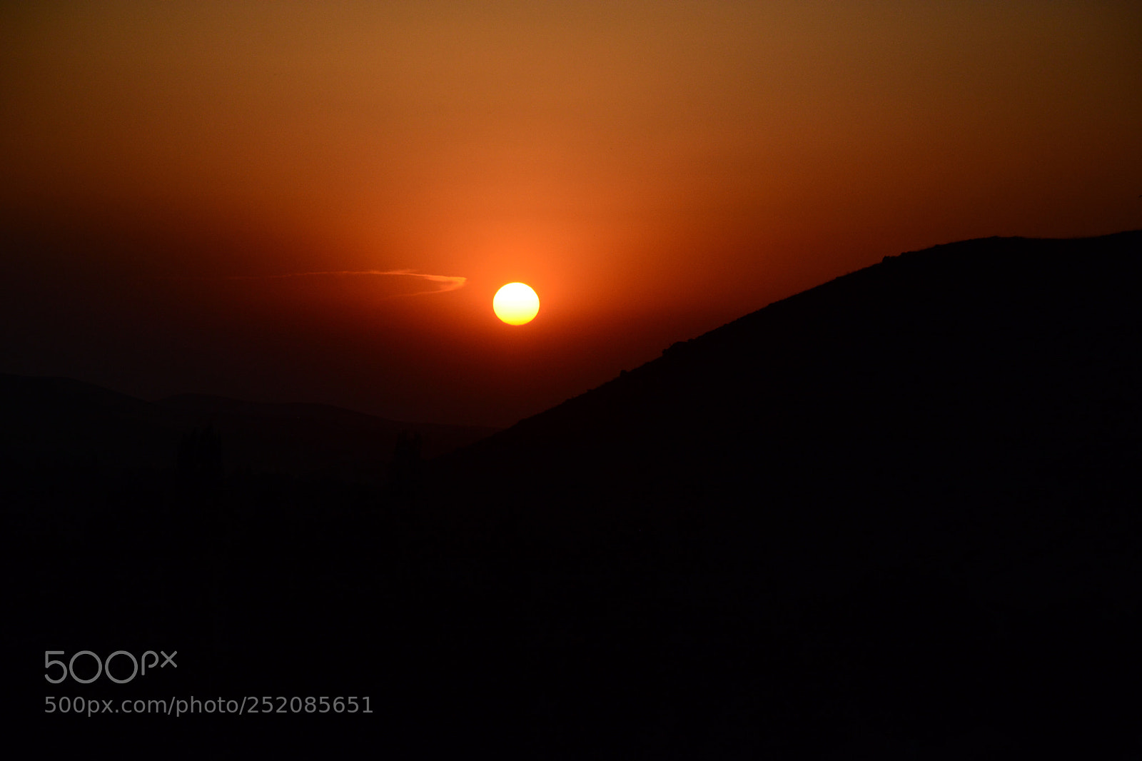 Nikon D7100 sample photo. Untitled photography