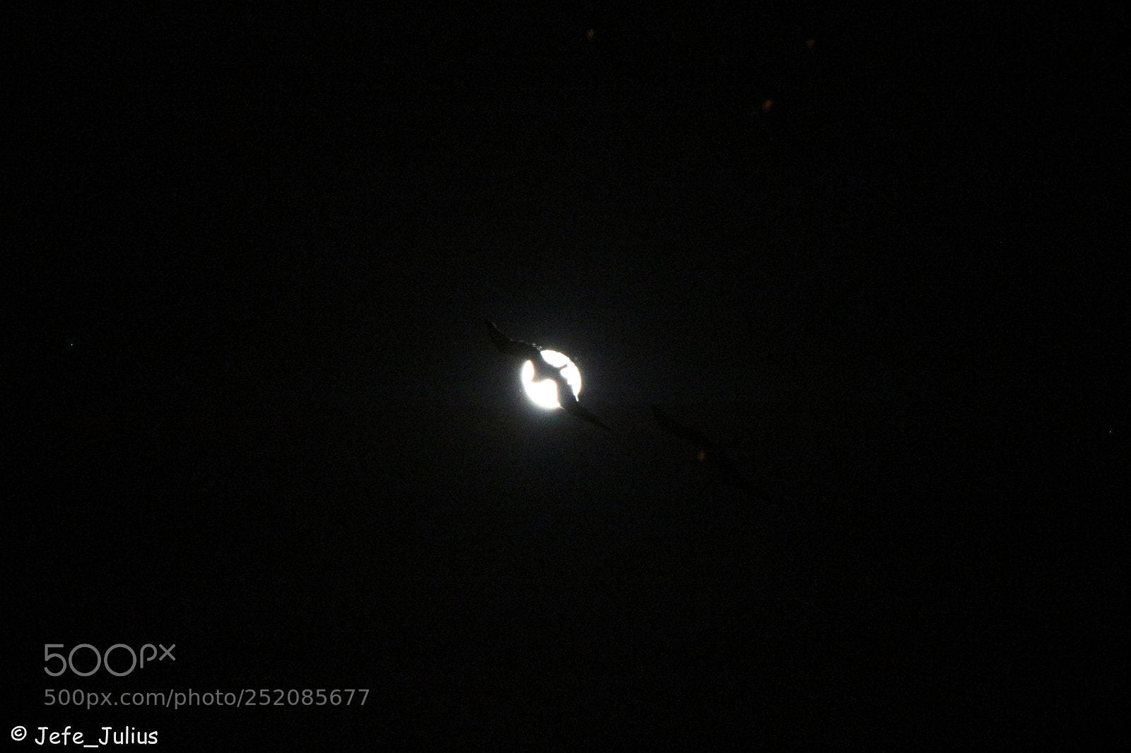 Canon EOS 650D (EOS Rebel T4i / EOS Kiss X6i) sample photo. Batman? photography