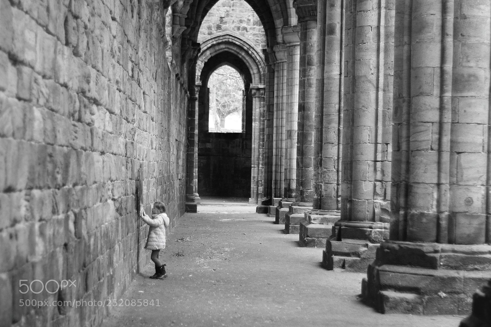 Canon EOS 1300D (EOS Rebel T6 / EOS Kiss X80) sample photo. Kirkstall abbey photography