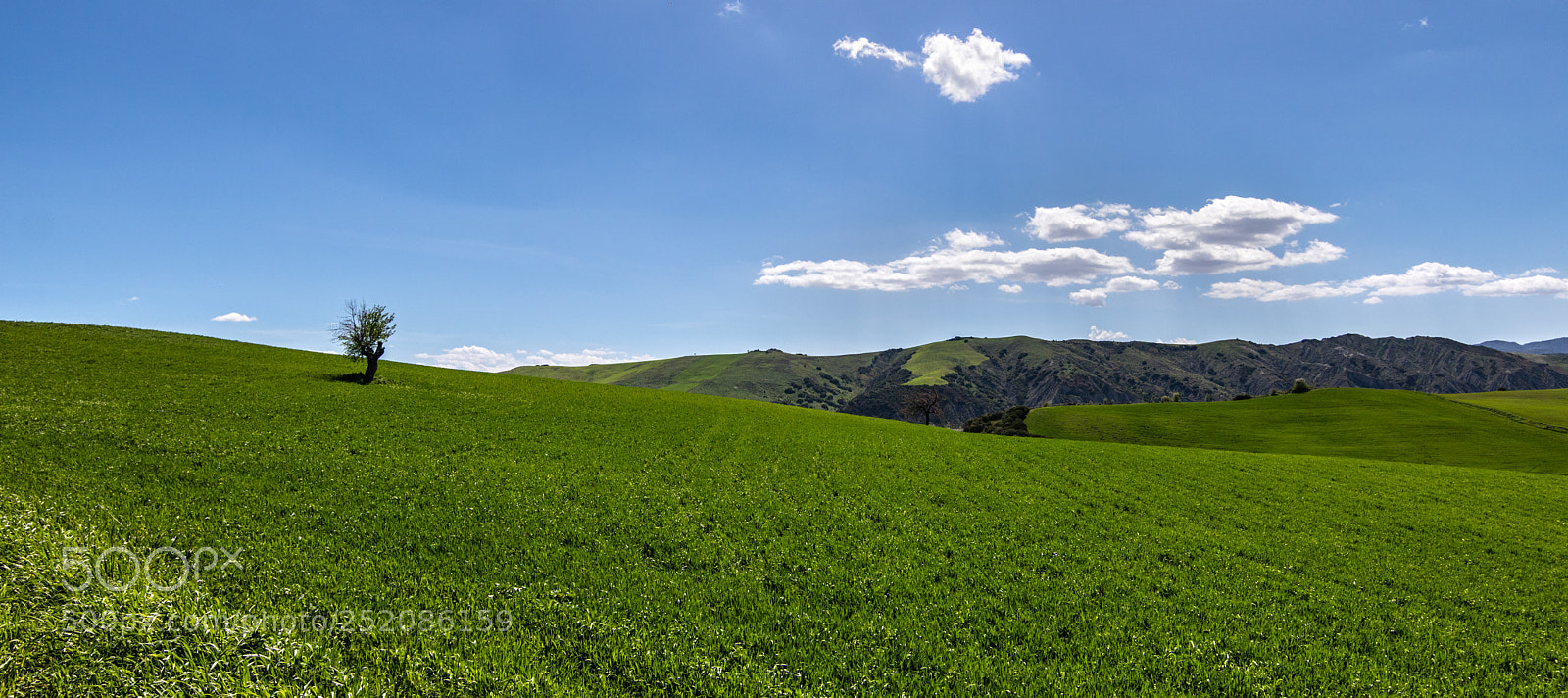 Canon EOS 750D (EOS Rebel T6i / EOS Kiss X8i) sample photo. Basilicata #1 photography