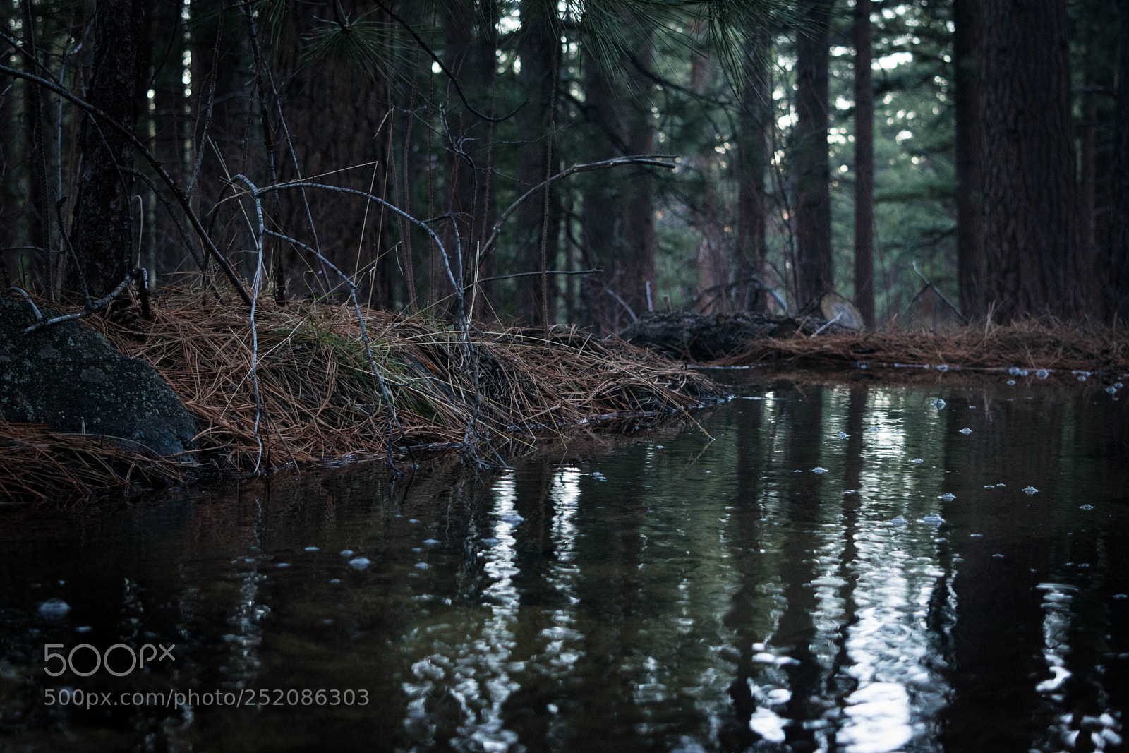 Nikon D3300 sample photo. Davis creek photography
