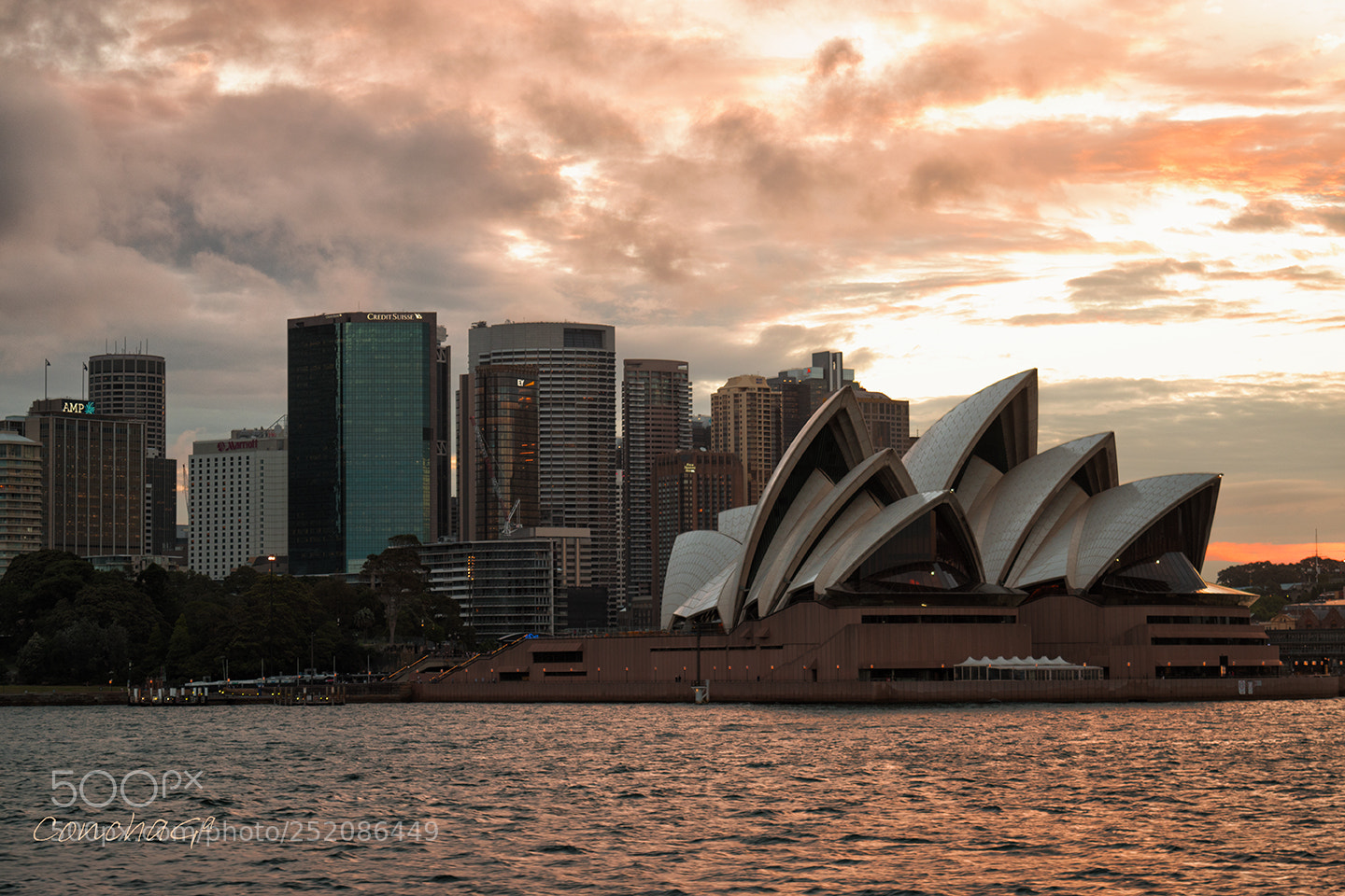 Nikon D5500 sample photo. Sydney photography