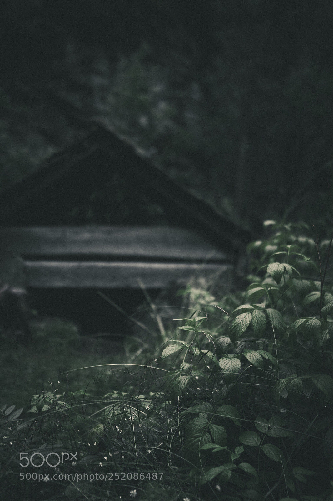 Canon EOS 7D sample photo. Trail to skrikjofossen, ullensvang photography