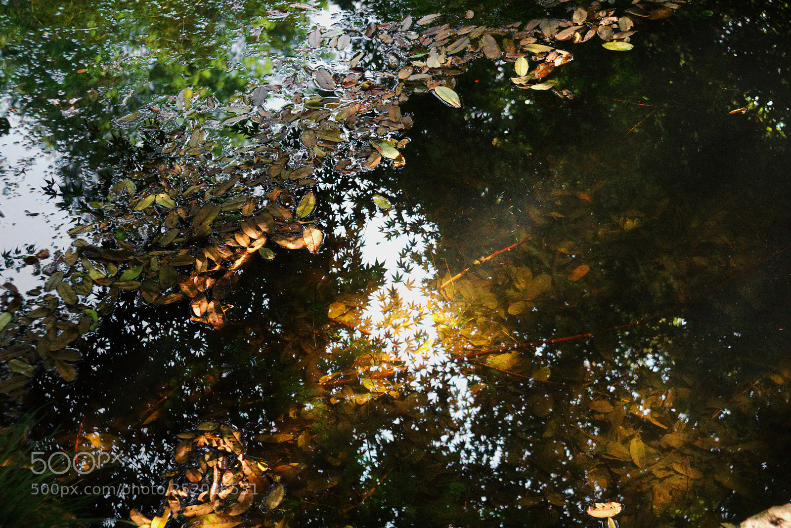 Sony a6300 sample photo. - photography