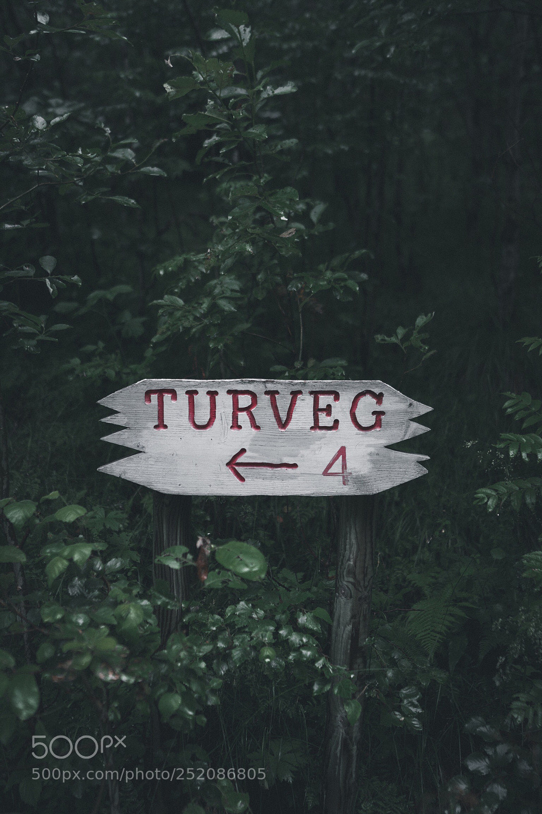 Canon EOS 7D sample photo. Trail to skrikjofossen, ullensvang photography