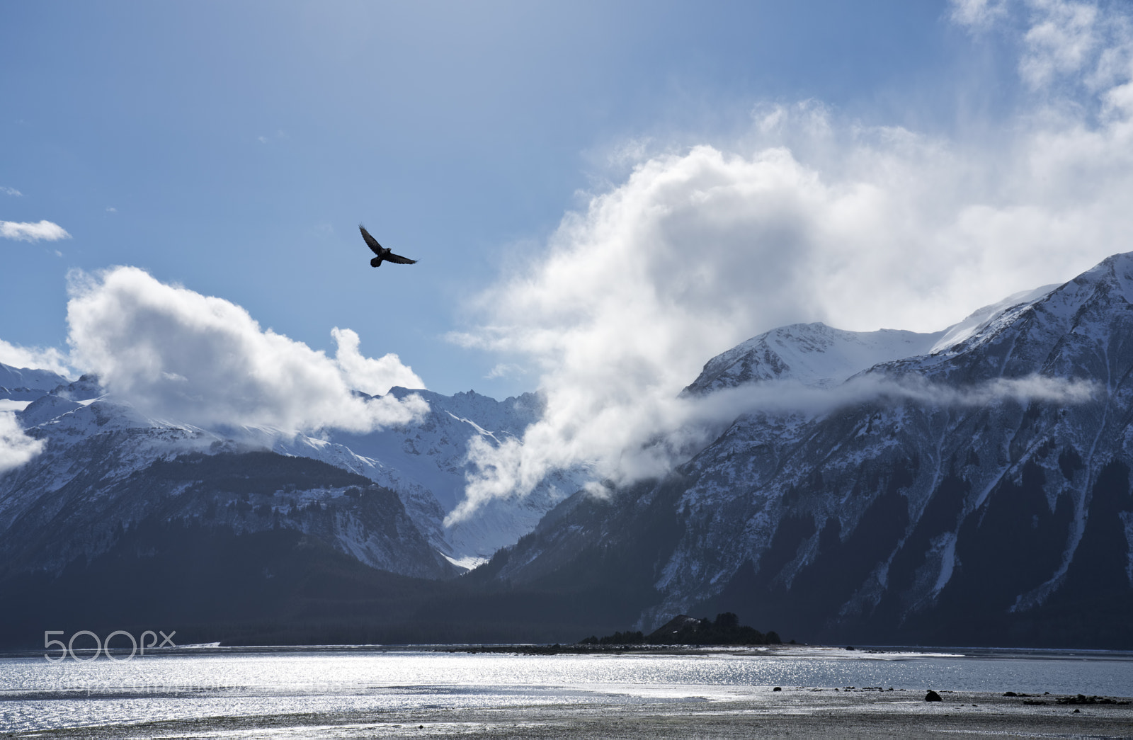 Sony a7R III sample photo. Eagle flying over the photography