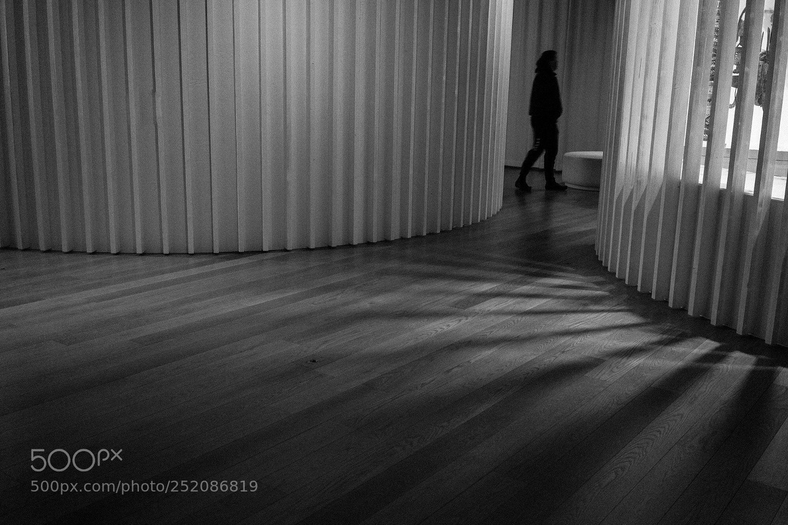 Sony a7 II sample photo. Lines and curves photography
