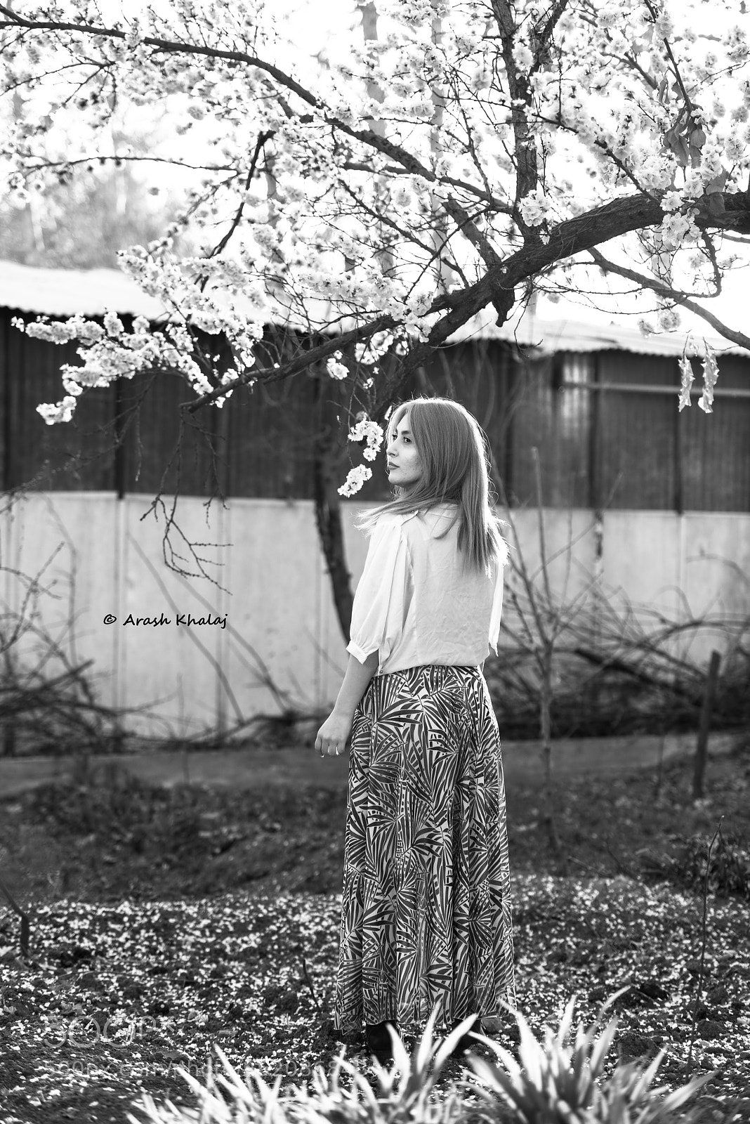 Nikon D810 sample photo. Sanaz photography