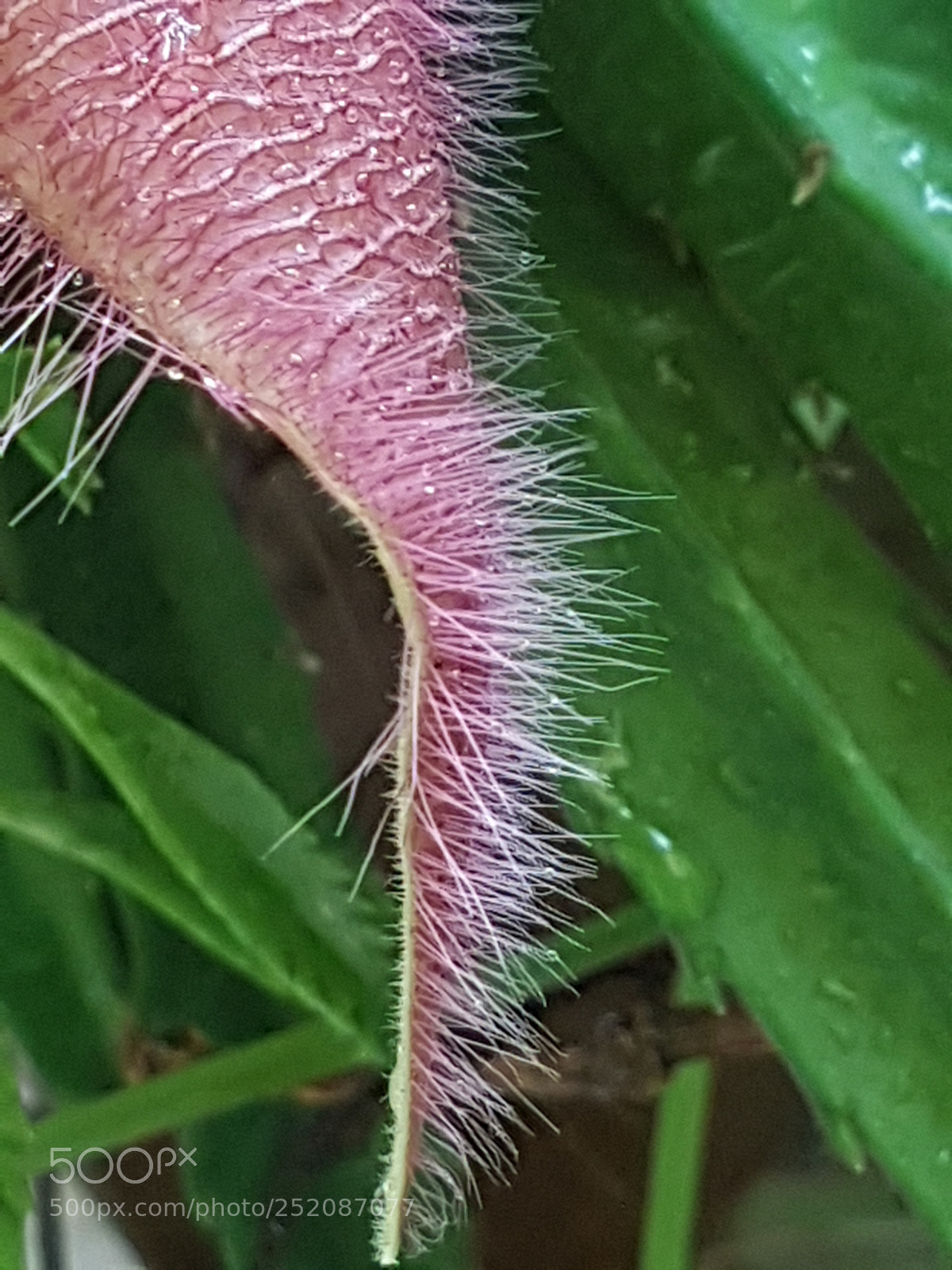 Samsung Galaxy S7 Edge sample photo. Untitled photography