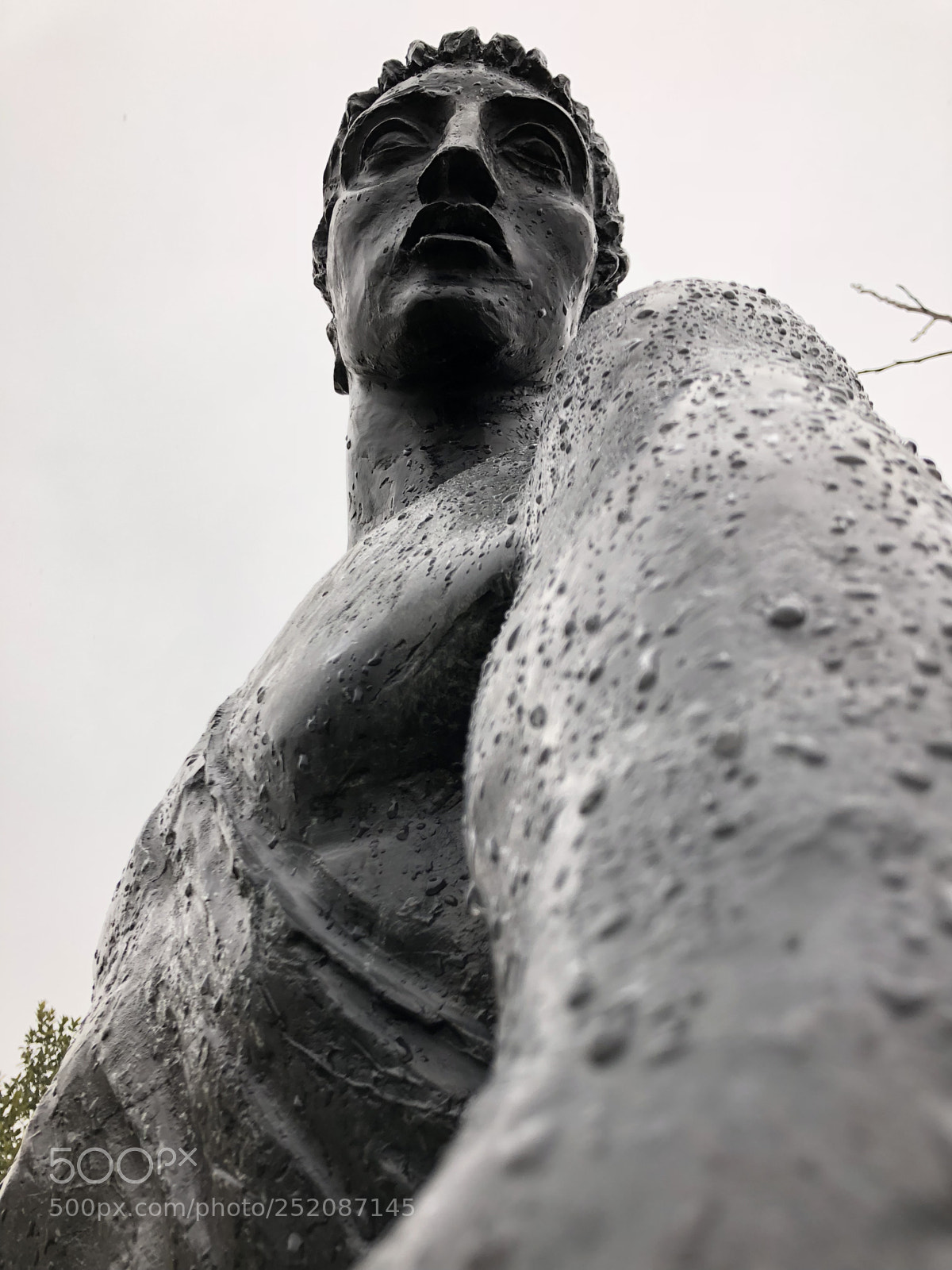 Apple iPhone 8 sample photo. Orpheus  photography