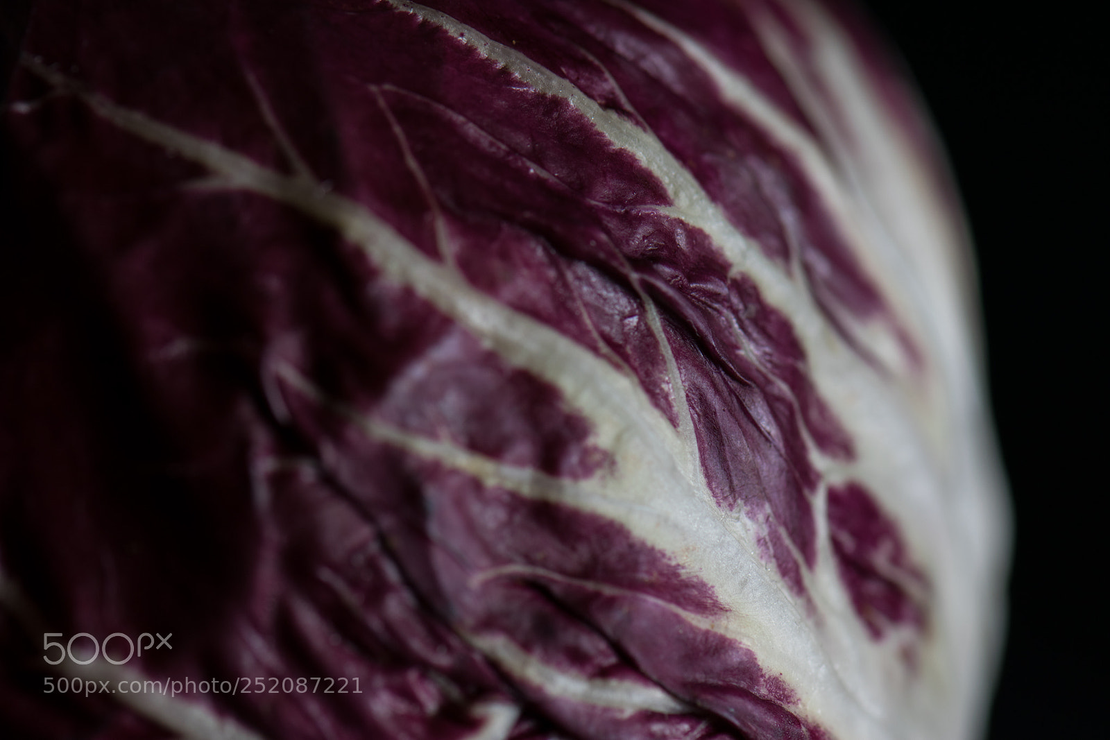 Nikon D5300 sample photo. Radical radicchio photography