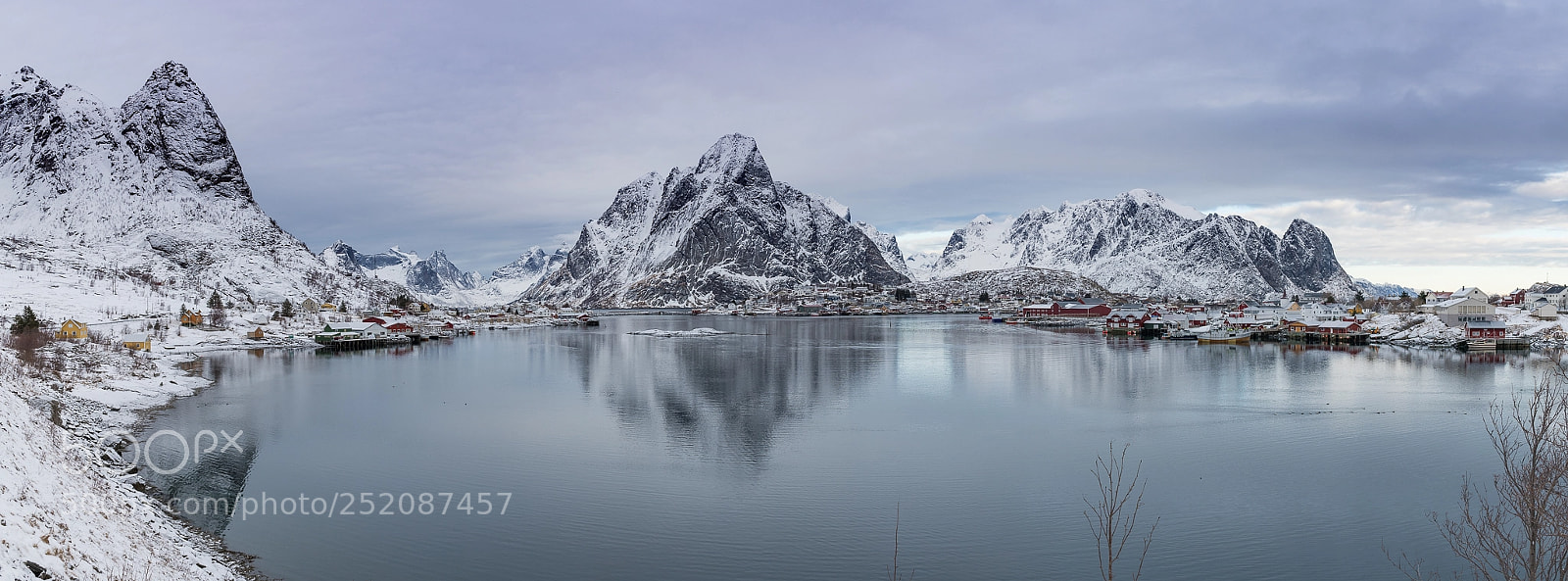 Nikon D850 sample photo. Reine photography