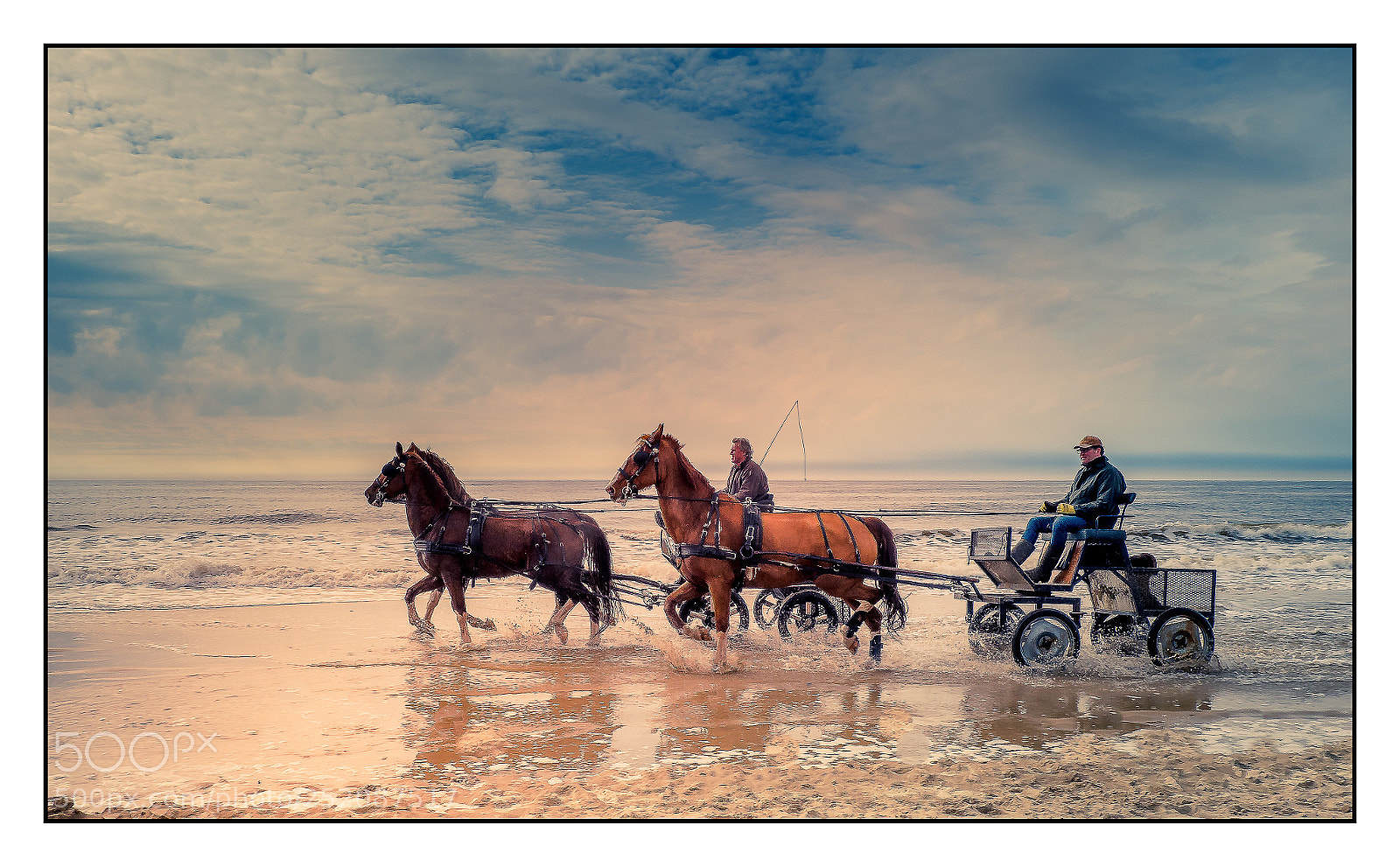 Olympus OM-D E-M1 Mark II sample photo. “horse craft” photography