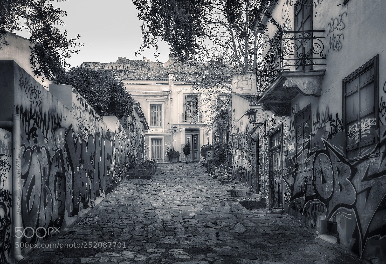 Nikon D610 sample photo. Graffiti street photography