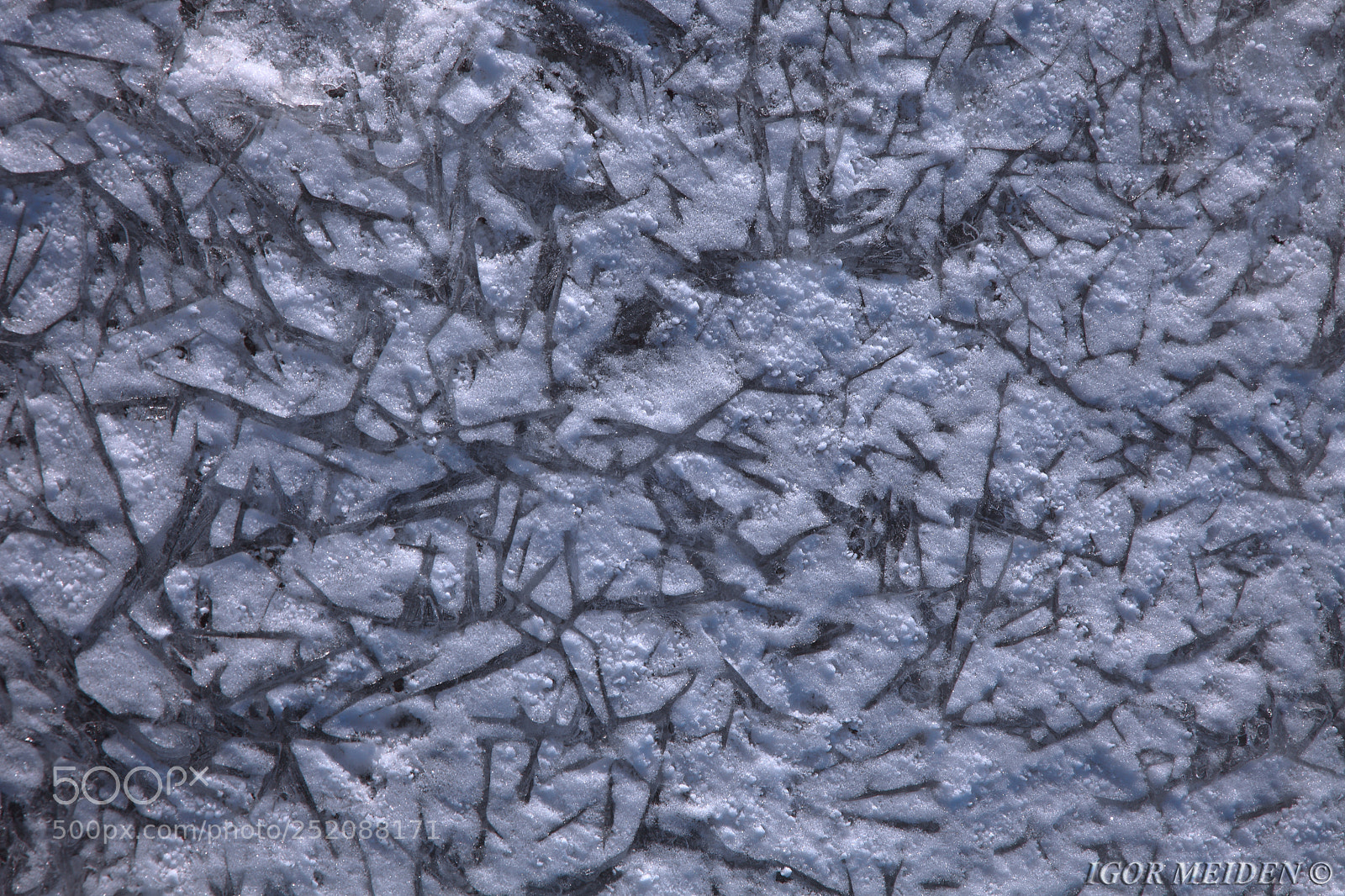 Canon EOS 5D Mark II sample photo. Drawings on ice photography