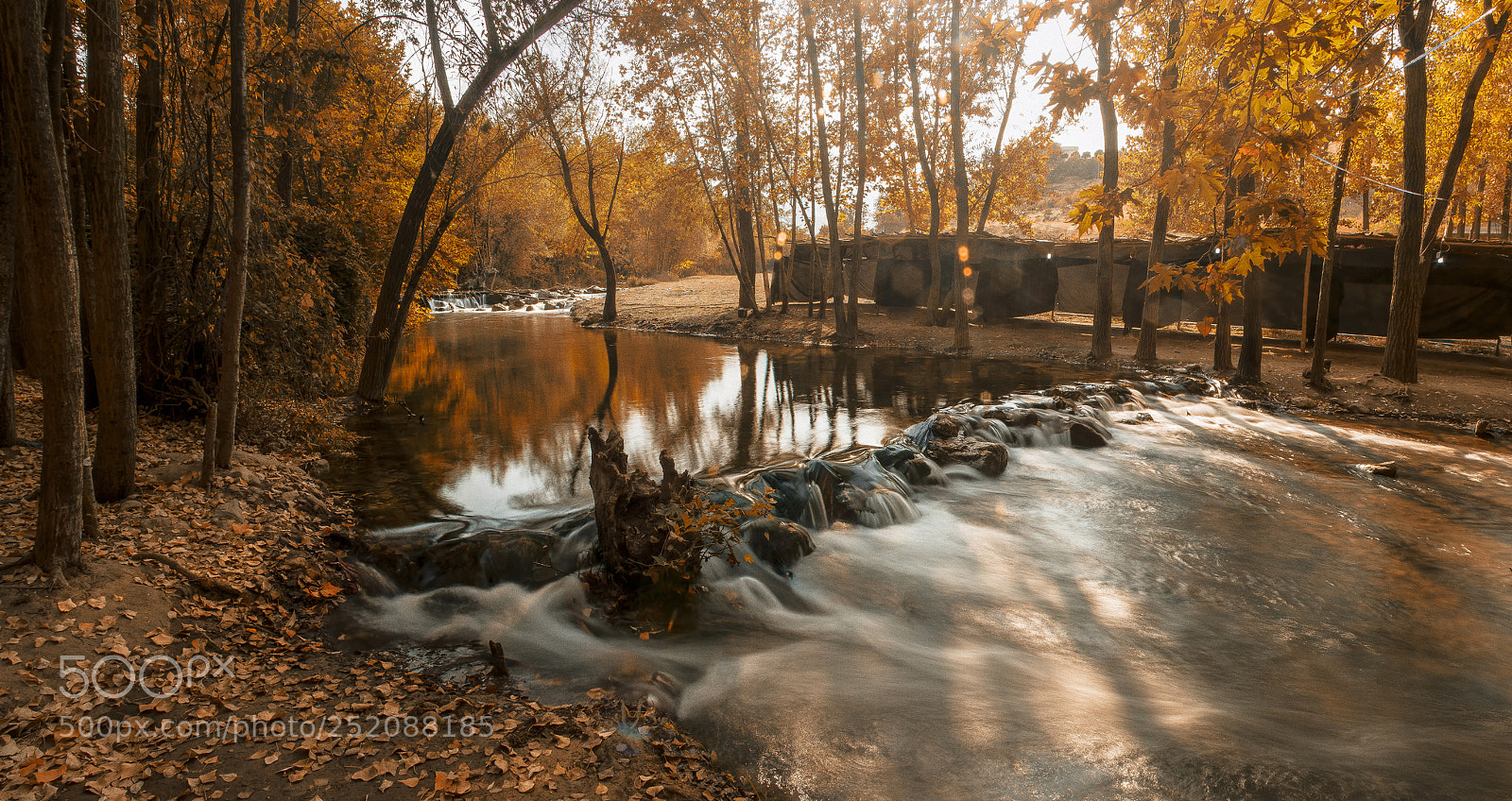 Canon EOS 70D sample photo. Last of autumn photography
