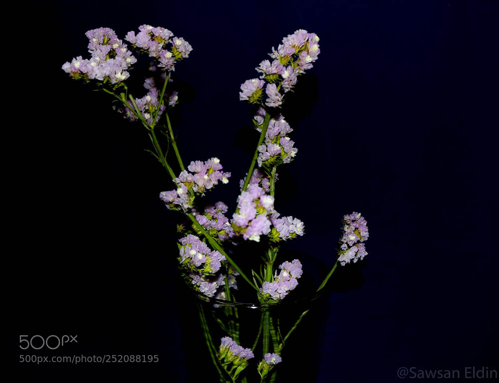 Canon EOS 70D sample photo. Untitled photography